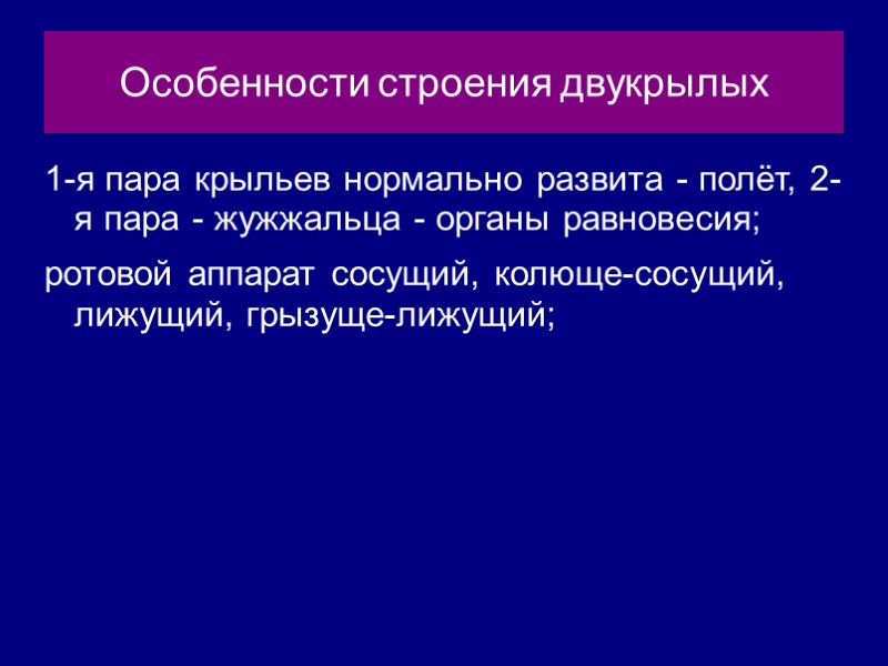 Особенности строения двукрылых 1-я пара крыльев нормально развита - полёт, 2-я пара - жужжальца